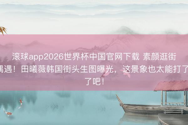 滚球app2026世界杯中国官网下载 素颜逛街被偶遇！田曦薇韩国街头生图曝光，这景象也太能打了吧！
