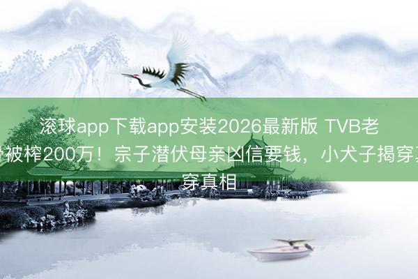 滚球app下载app安装2026最新版 TVB老戏骨被榨200万！宗子潜伏母亲凶信要钱，小犬子揭穿真相