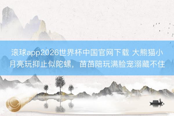 滚球app2026世界杯中国官网下载 大熊猫小月亮玩抑止似陀螺，苗苗陪玩满脸宠溺藏不住