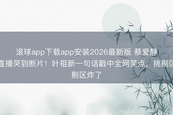 滚球app下载app安装2026最新版 蔡爱静醉酒直播哭到断片！叶祖新一句话戳中全网笑点，挑剔区炸了