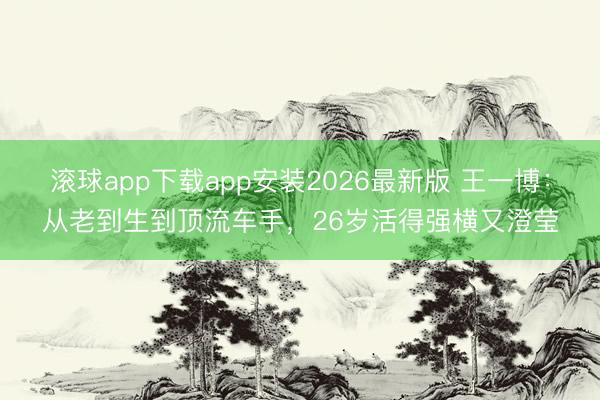 滚球app下载app安装2026最新版 王一博：从老到生到顶流车手，26岁活得强横又澄莹