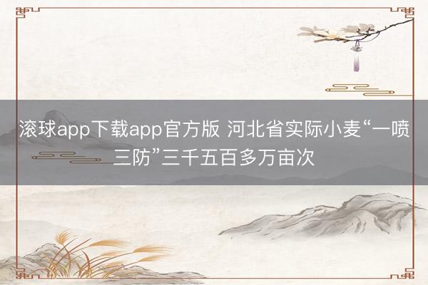 滚球app下载app官方版 河北省实际小麦“一喷三防”三千五百多万亩次