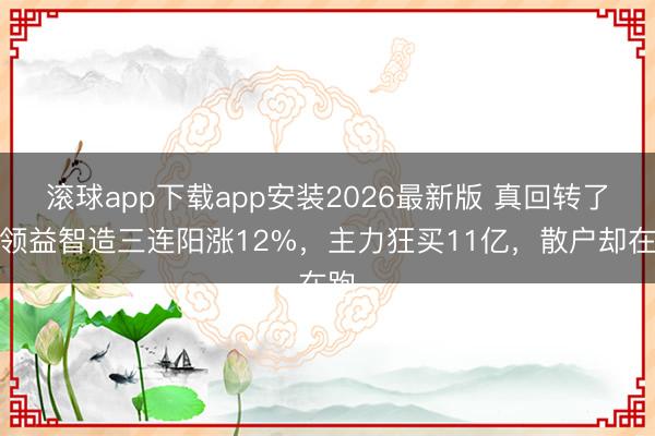 滚球app下载app安装2026最新版 真回转了？领益智造三连阳涨12%，主力狂买11亿，散户却在跑